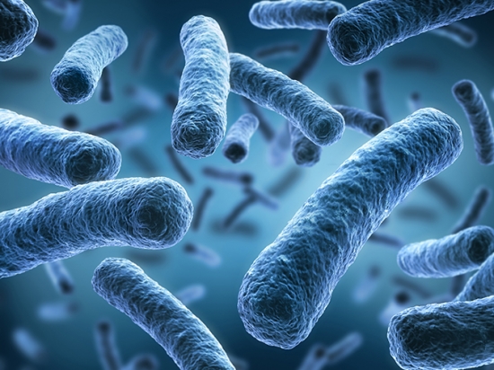 Is there a connection between limescale and legionella